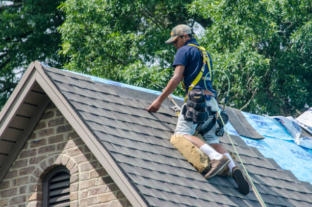 Lake Park, NC Roofing Contractor Company